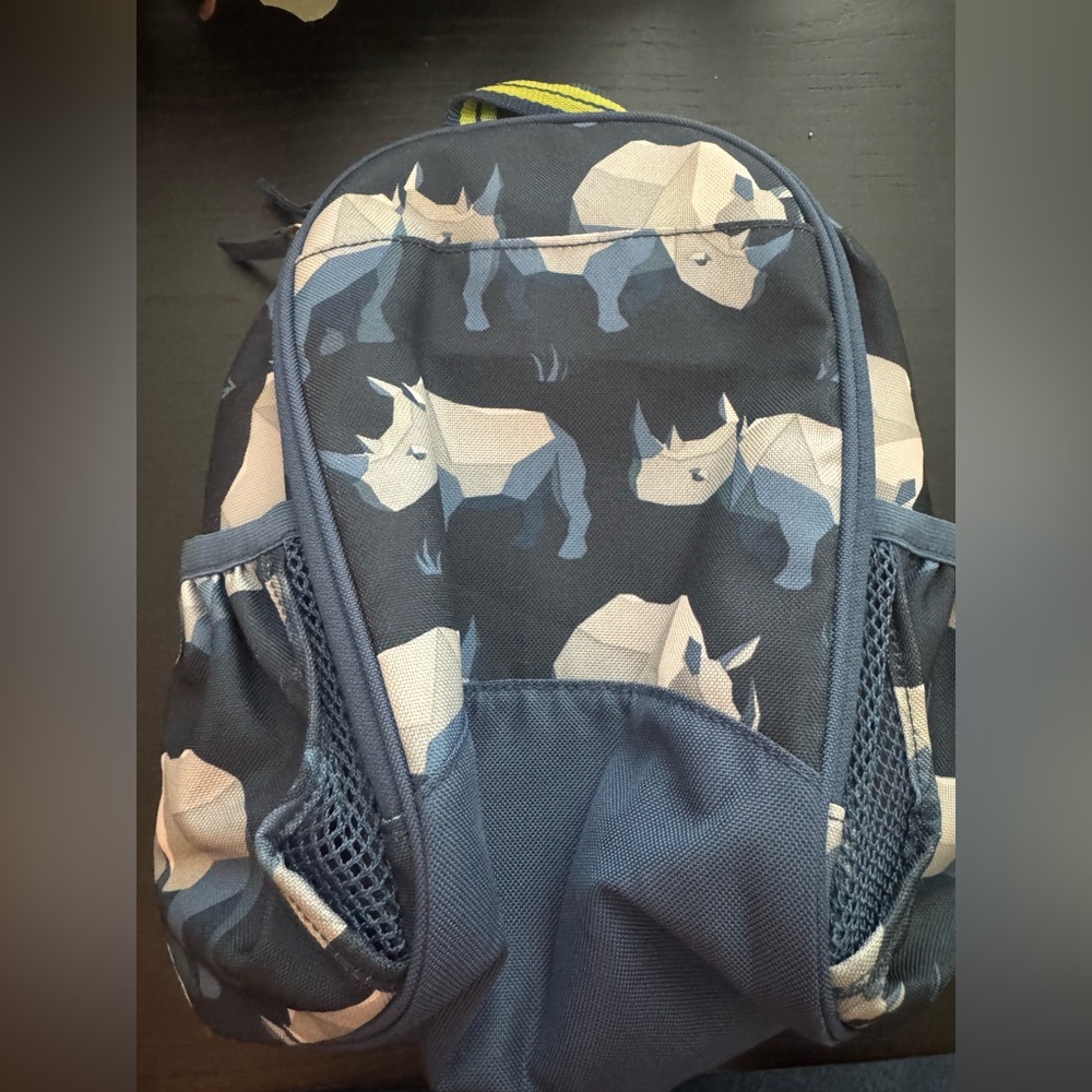 Pottery Barn kids lunch bag